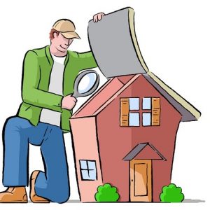 Home Inspection Cartoon