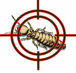 Target termites by baiting