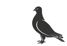 icon-bird